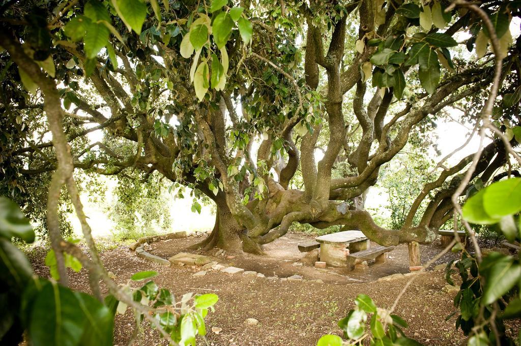 Fattoria Casabianca Villa Bucine Exteriör bild